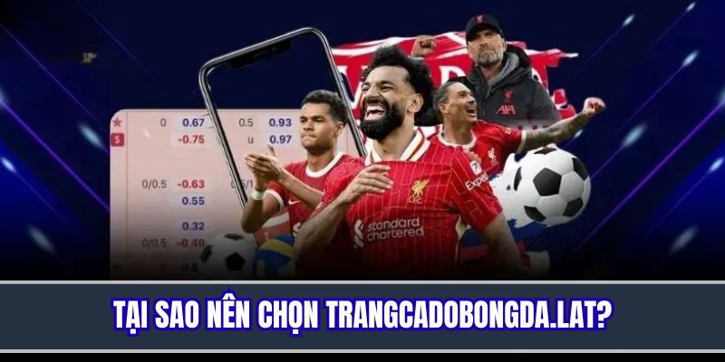 Lý do trang web cá độ bóng đá luôn được là lựa chọn hàng đầu